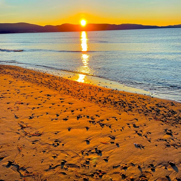 Meet your Posher, Catherine - Picture 1 of 1